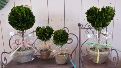 20140921_145331_Richtone(HDR)