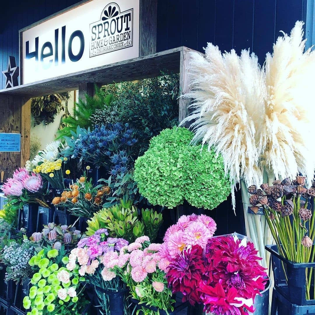 Instagramより投稿