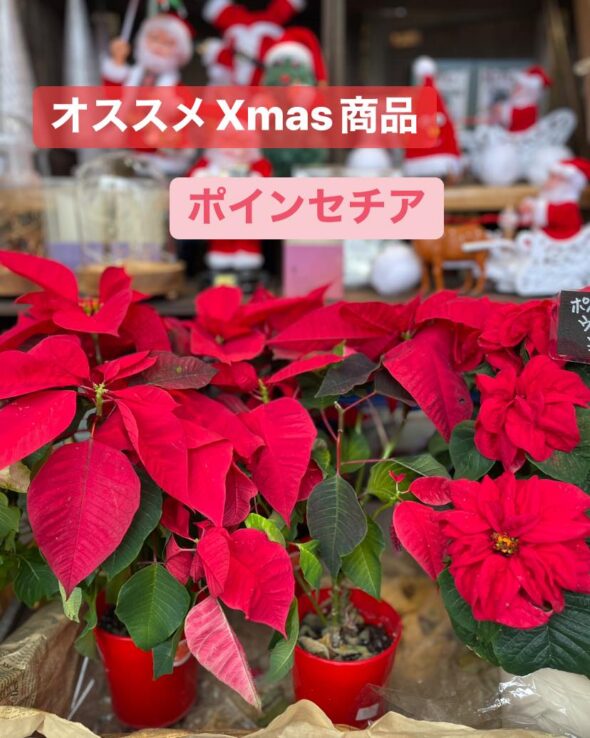 クリスマスグッズ