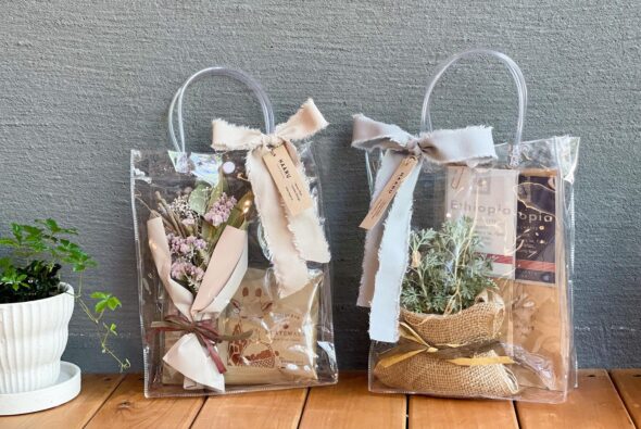 母の日ギフト特集｜HAARUの花鉢＆マメバコのコーヒーセット
