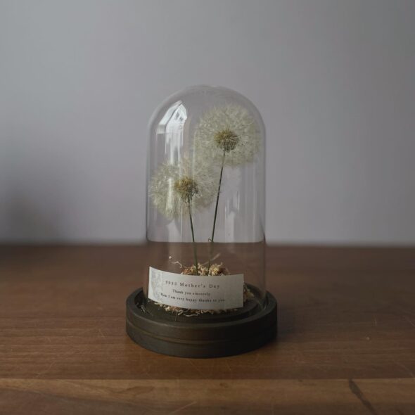 ガラスドームのドライフラワー - グリーンプロデュース～暮らしに緑を