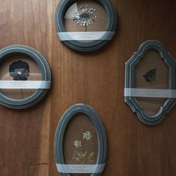 春の押し花フレームで贈る、特別な母の日ギフト