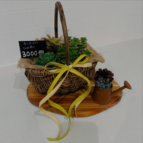 早期割引あり♡kiitos∞の母の日ギフトで感謝の気持ちを