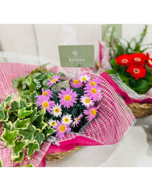 心に残る母の日を。Kiitos ∞の特別なグリーンギフト