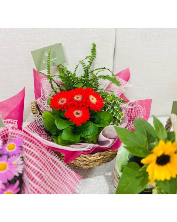 心に残る母の日を。Kiitos ∞の特別なグリーンギフト