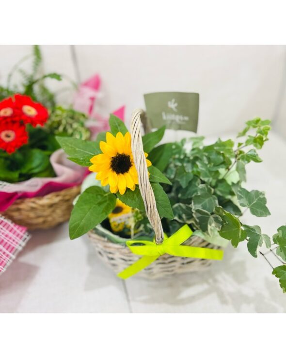 心に残る母の日を。Kiitos ∞の特別なグリーンギフト