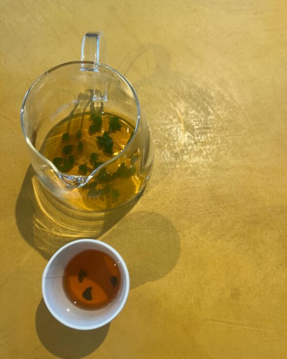 剪定したアロマティカスで手作りティー！おいしさと香りを楽しむ