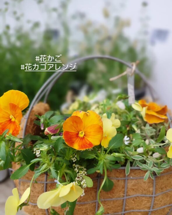 母の日のプレゼントにぴったりなギフトとワークショップ