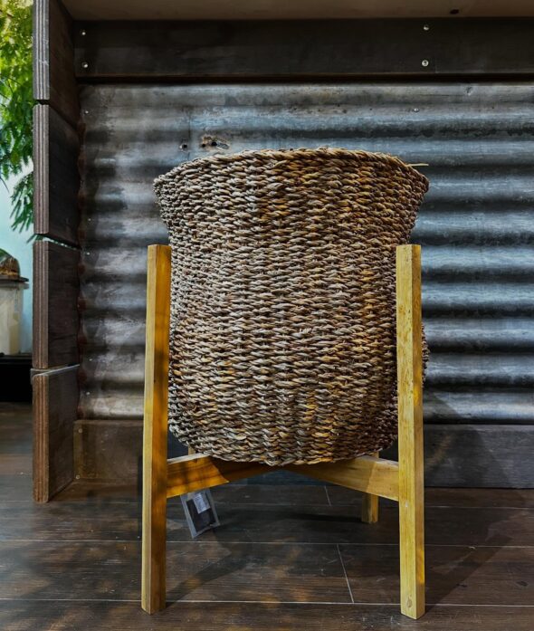 マンネリ打破！スタンドで変わる植物の飾り方