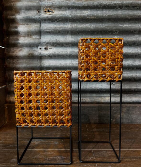 マンネリ打破！スタンドで変わる植物の飾り方