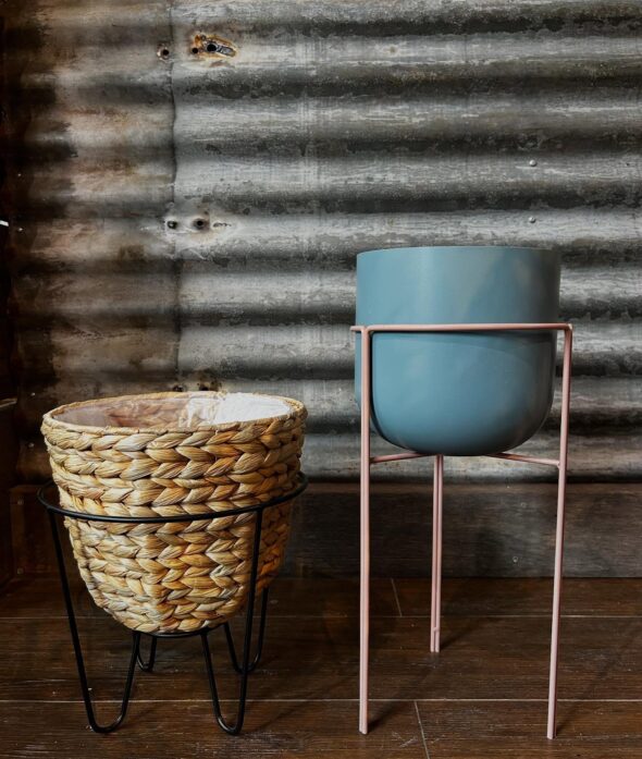 マンネリ打破！スタンドで変わる植物の飾り方