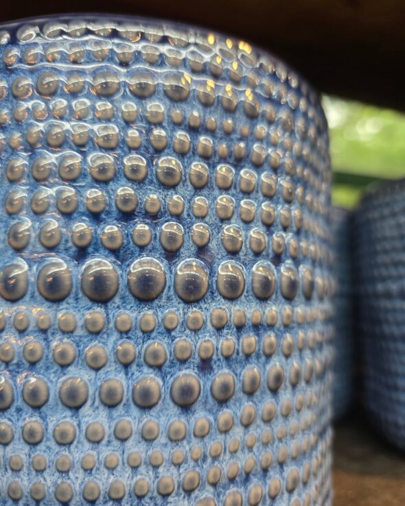 日常にちょこっとグリーン。手のひらサイズのかわいい鉢たち