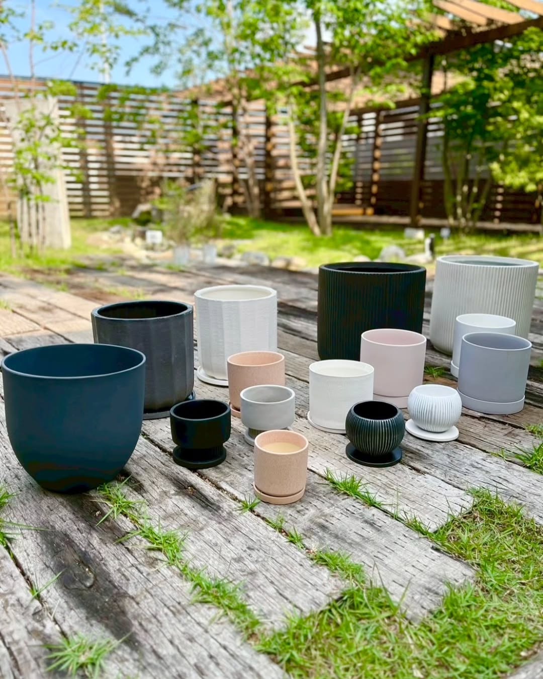 狂鉢 作家鉢 アクアグリーン系色 USH-25 ライトアーミー【スリット鉢】【カーメン君カラー】 – KUROKO