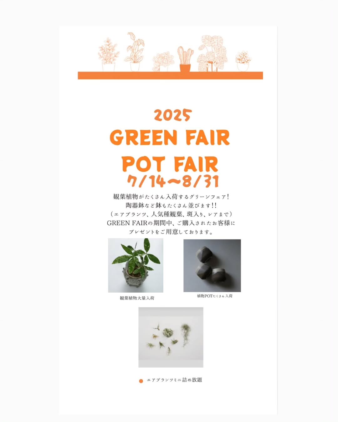 観葉植物好き集まれ!鉢も植物もお得なグリーンフェア