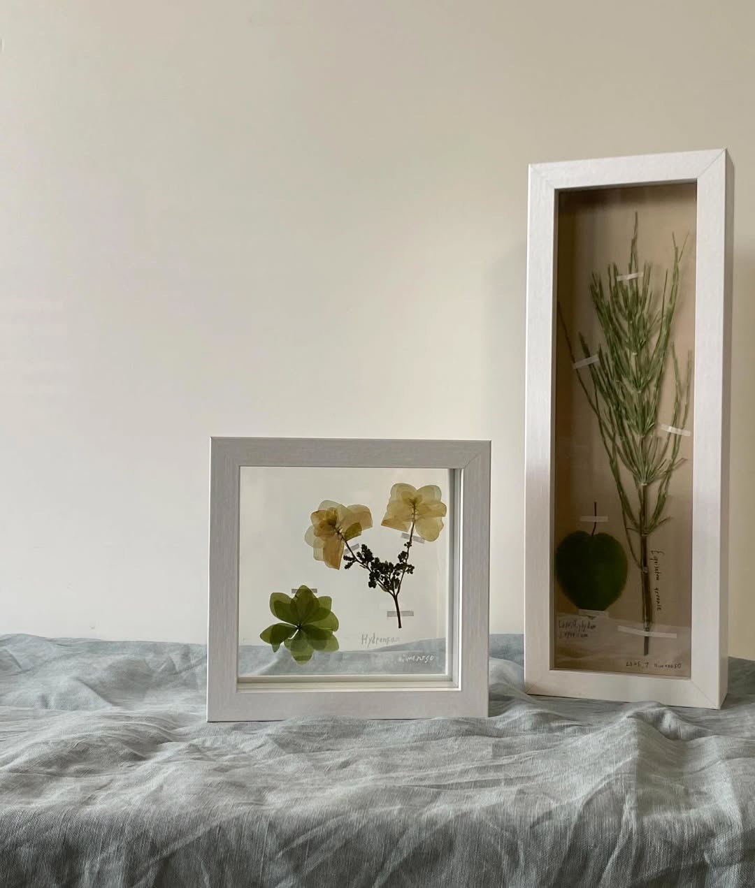 季節を閉じ込める、小さなアート。押し花ワークショップ開催🌿