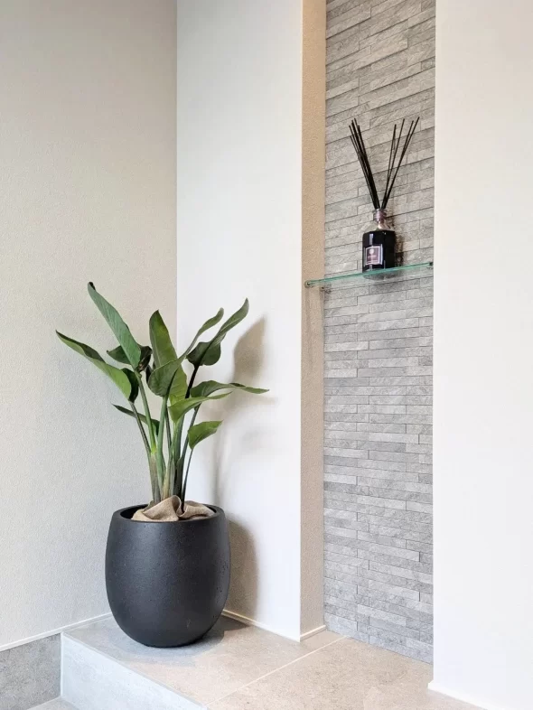 ウンベラータとストレリチア、素敵なお部屋に仲間入りしました