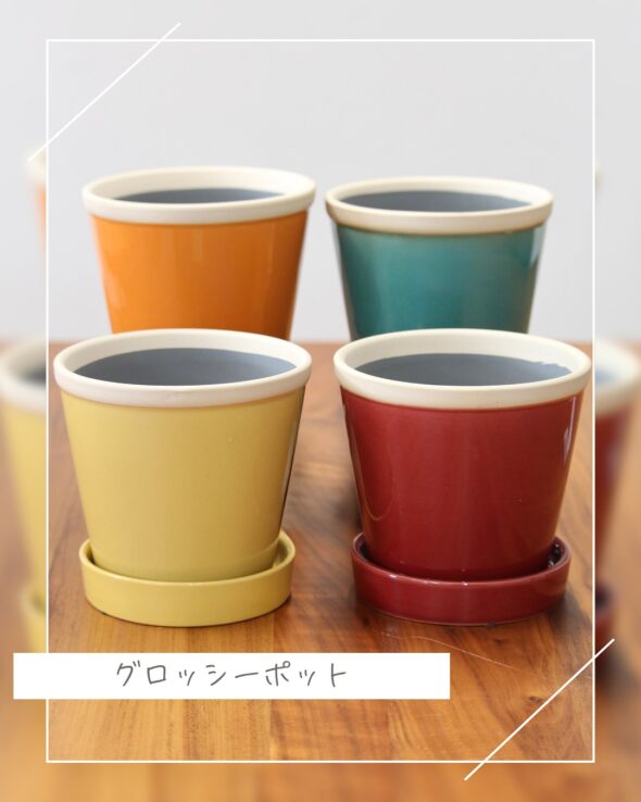 【暮らしに彩りを】グリーン×鉢の自由なコーディネート術