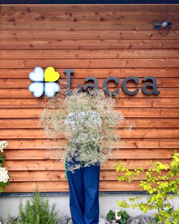 ガラスベースとグリーンで日常にちょっとときめきを