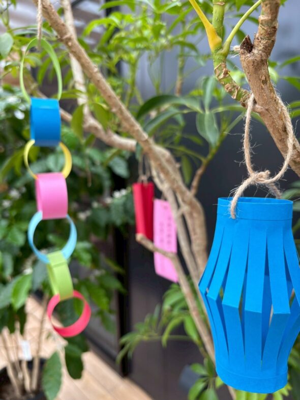 初心者さんにもおすすめ！育てやすい人気グリーン入荷中🪴