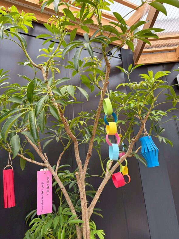 店内に七夕飾りが登場🎋願いを込めて短冊を