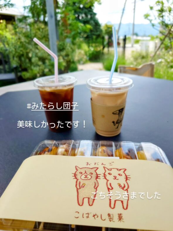 人気の庭木＆シンボルツリー、再入荷しました！