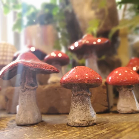 きのこ - グリーンプロデュース～暮らしに緑を～｜グリーン雑貨 専門店