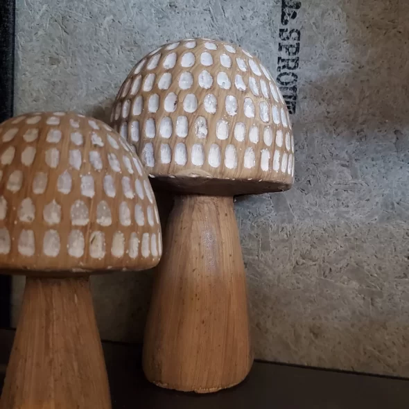 きのこ🍄いろいろ！Park店できのこ狩りしよう♪