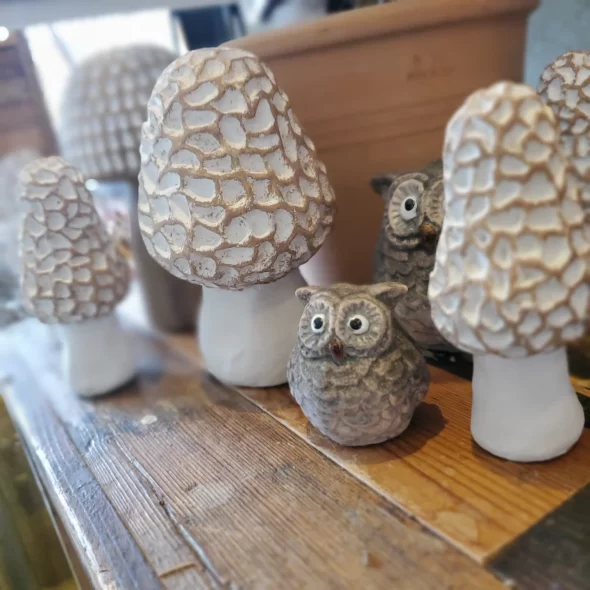 きのこ🍄いろいろ！Park店できのこ狩りしよう♪