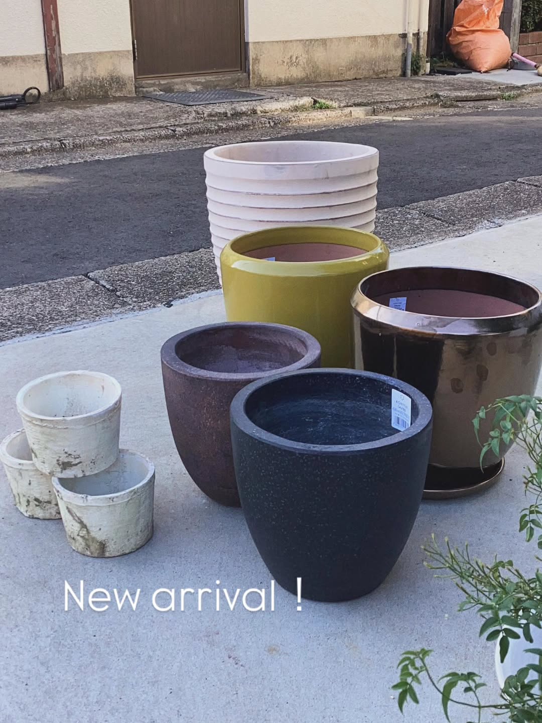 新しい鉢 - グリーンプロデュース～暮らしに緑を～｜グリーン雑貨 専門
