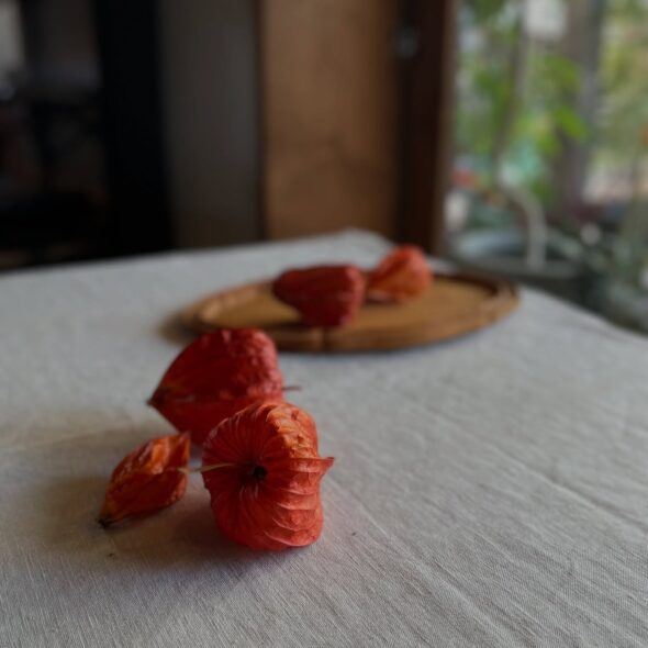 魔除けと導きの象徴。夏に飾るホウズキの魅力