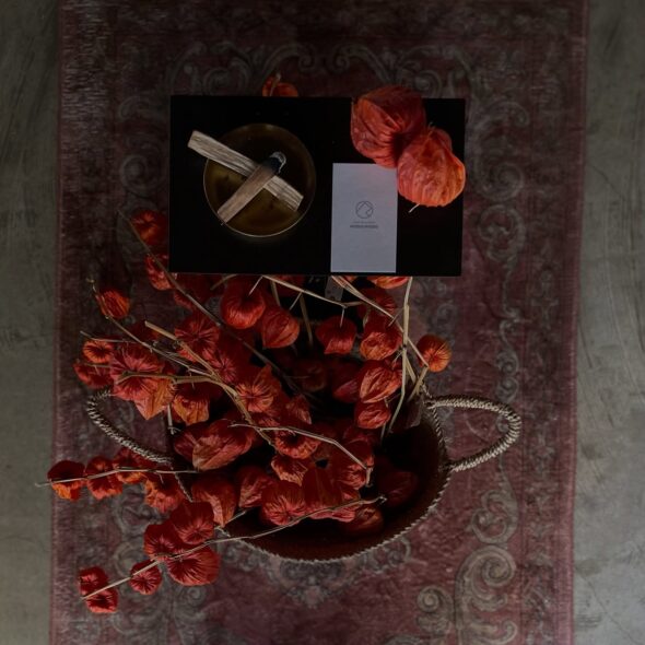 魔除けと導きの象徴。夏に飾るホウズキの魅力