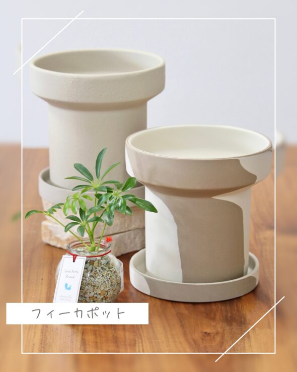 植物がもっと映える。フィーカポットでつくる癒し空間