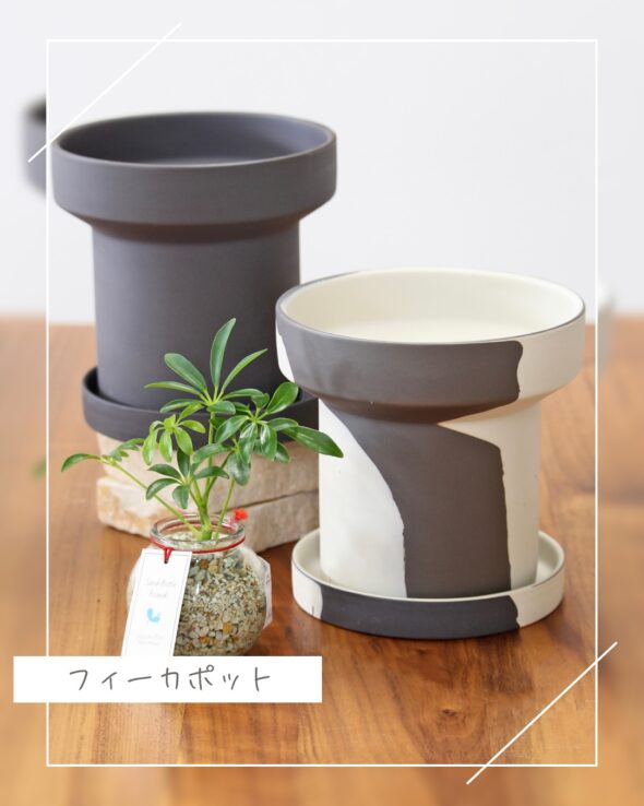 植物がもっと映える。フィーカポットでつくる癒し空間