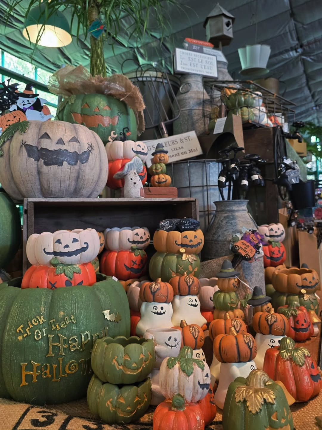 Trick or Treat! - グリーンプロデュース～暮らしに緑を～｜グリーン