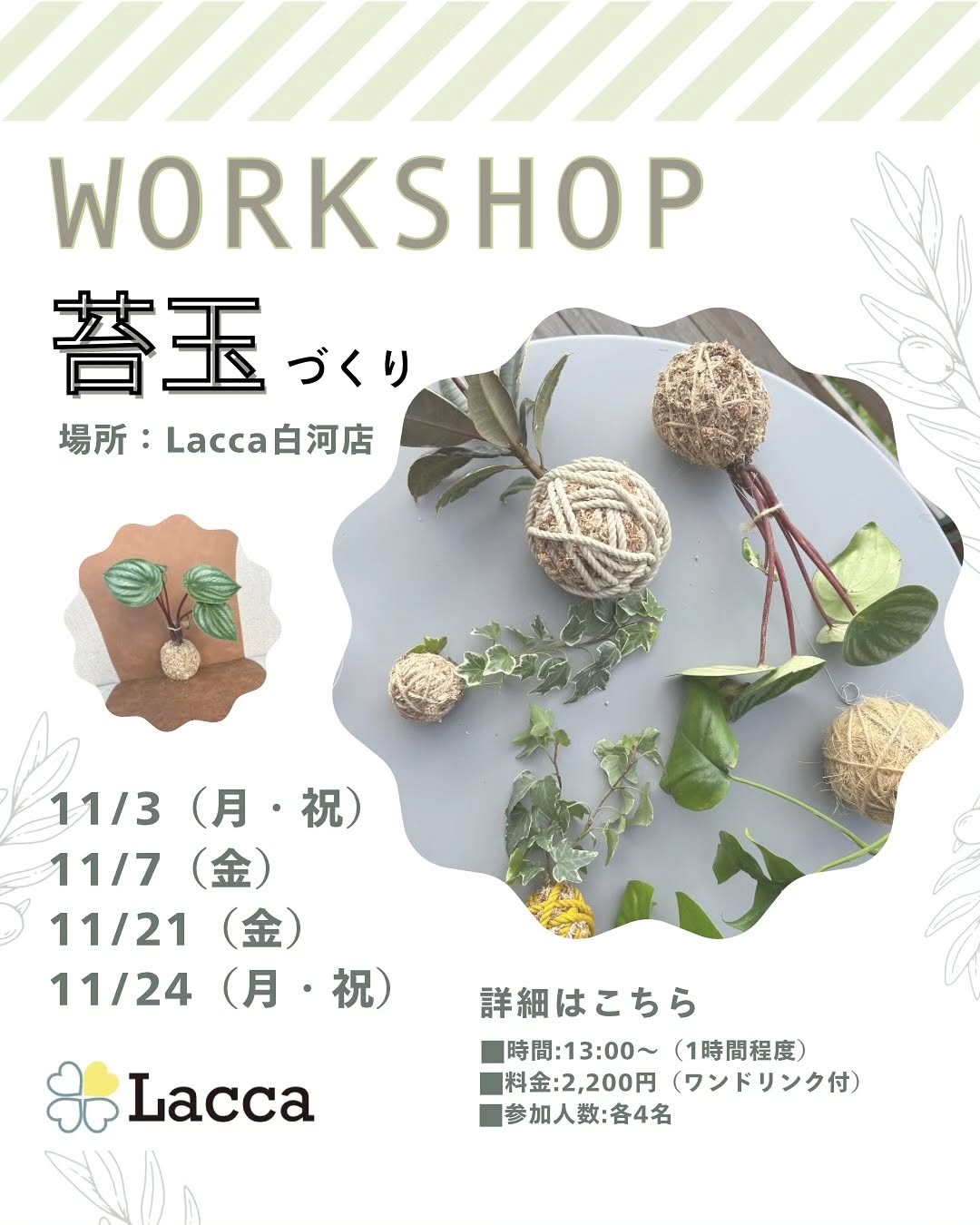 ころんと可愛い苔玉ワークショップ