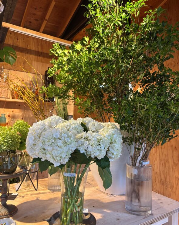 枝物専門店オープンしました！新しい花器とともにご紹介🌿