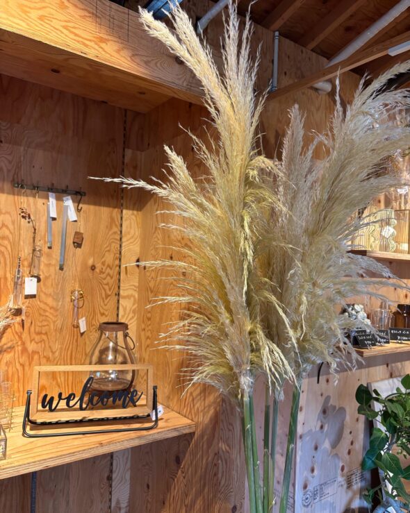 枝物専門店オープンしました！新しい花器とともにご紹介🌿