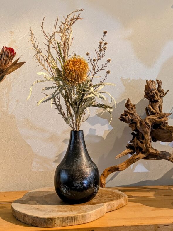 色鮮やかに楽しむワイルドフラワー——ドライアンドラ・フォルモーサ