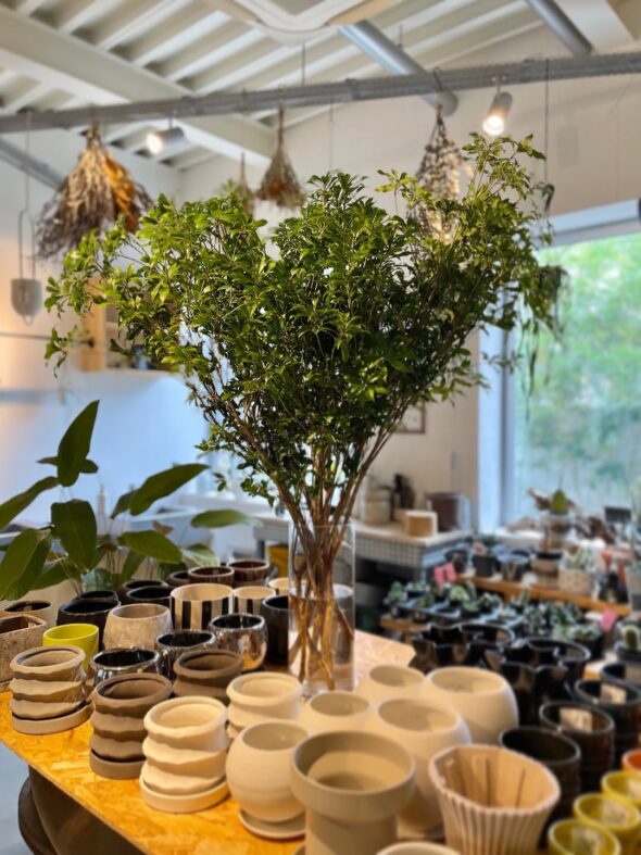 お部屋に季節を添える、切り枝入荷しました