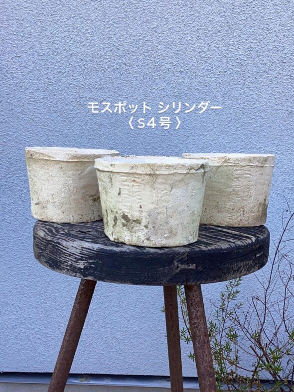 育てやすく、絵になる鉢。モスポットシリンダーの風合いを楽しむ