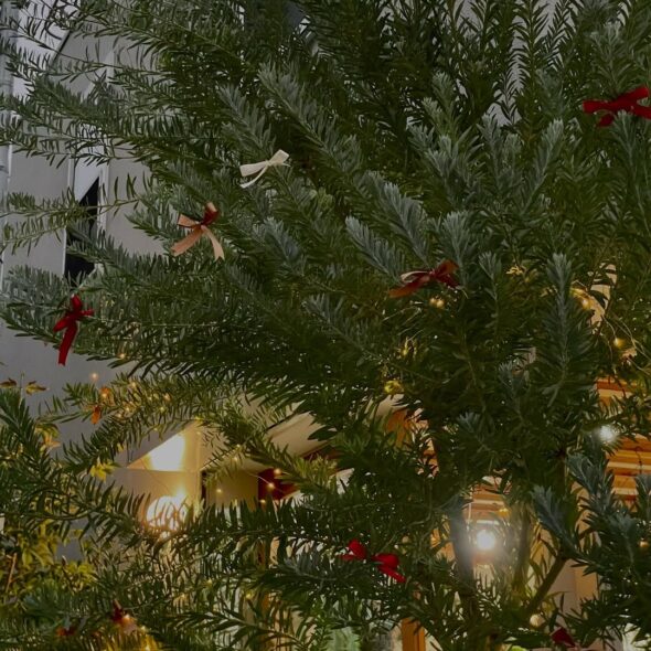 リボンが揺れる、ちいさなクリスマス