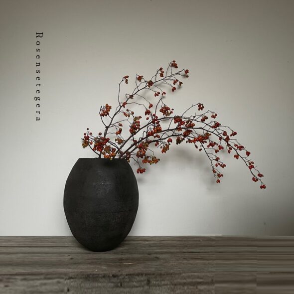 秋を運ぶ実もの──ローゼンセテゲラの美しさ