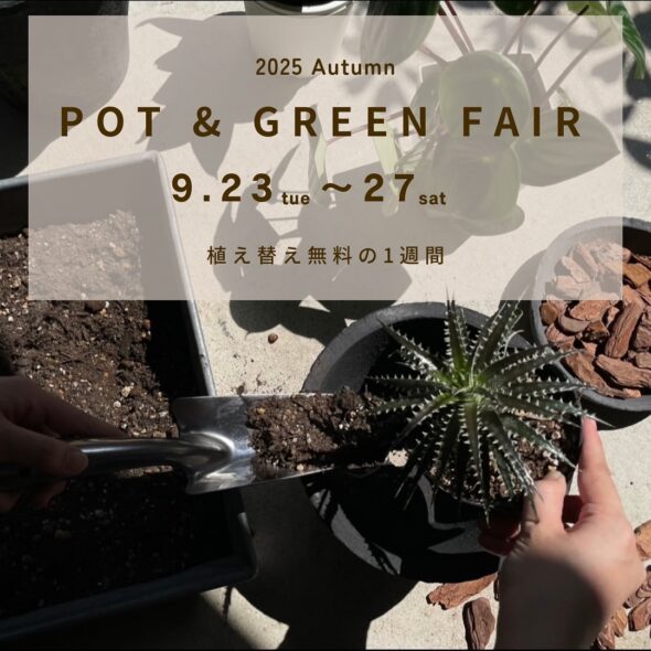 植物の秋、植え替えの季節。POT & GREEN FAIR 開催