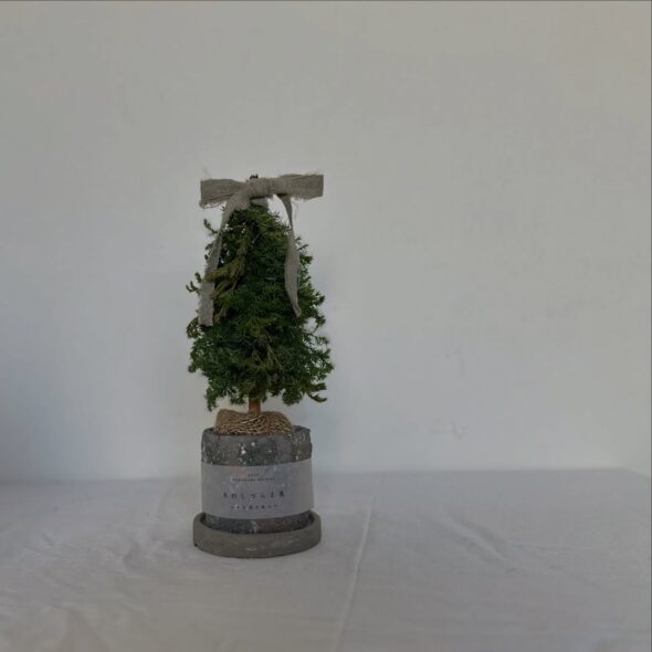 クリスマスからお正月へ、冬を楽しむ「しつらえ展」