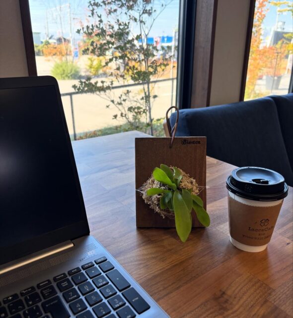 手のひらサイズからはじめるミニビカクシダ板付ワークショップ