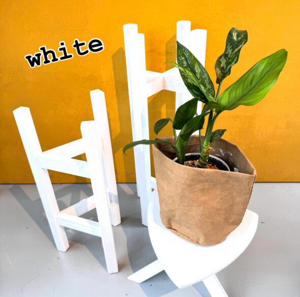 植物を立体的に楽しむ——鉢スタンド入荷のお知らせ