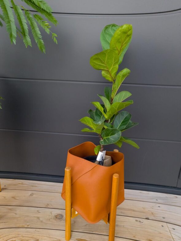 植物の印象が変わる、こだわり鉢カバー紹介