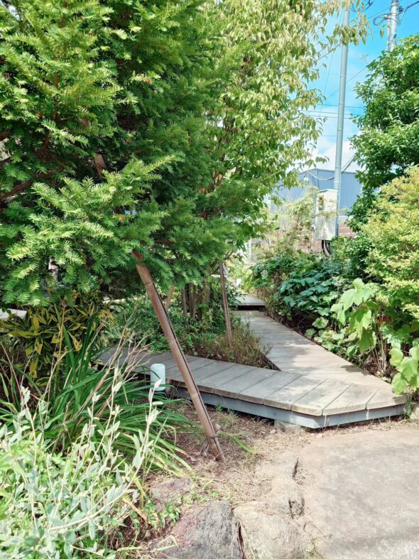 秘密の小径へようこそ——ニワトキテラスのオープン情報