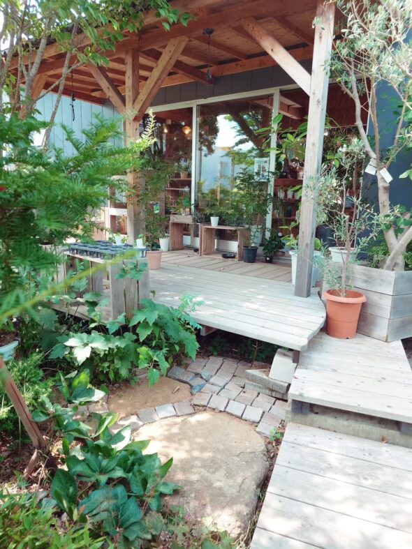 秘密の小径へようこそ——ニワトキテラスのオープン情報