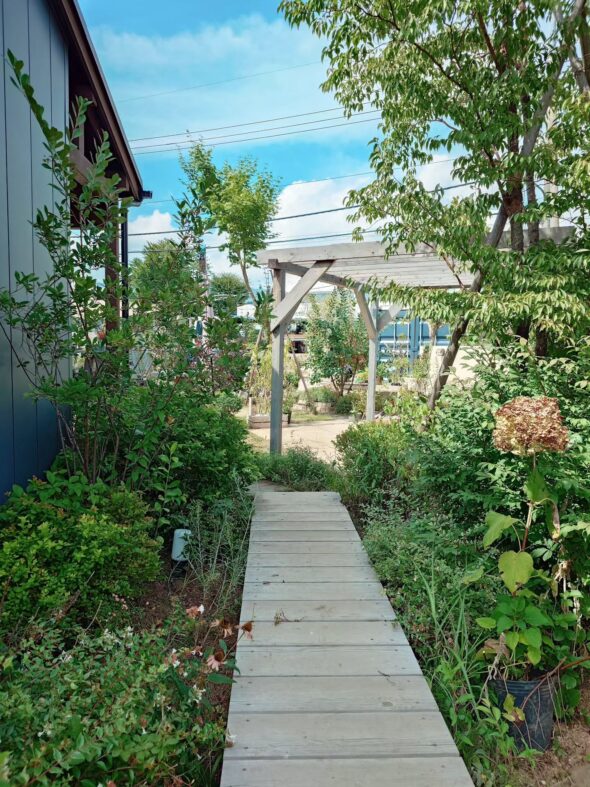 秘密の小径へようこそ——ニワトキテラスのオープン情報